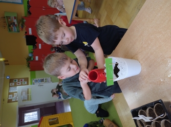 IMG_20250313_101553024
