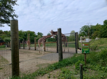 IMG_20250507_104647788_HDR