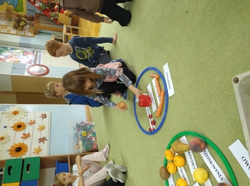 IMG_20251016_094111300