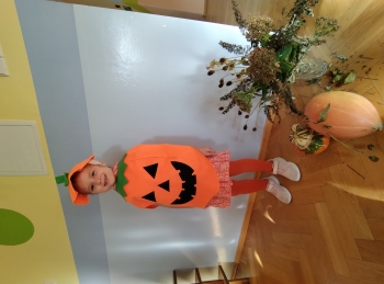 IMG_20251029_093236497