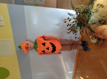 IMG_20251029_093153612