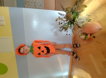 IMG_20251029_092905384_HDR