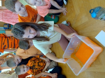 IMG_20251029_110919987_HDR