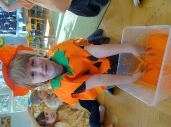 IMG_20251029_111438402_HDR