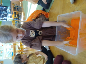 IMG_20251029_111338482_HDR