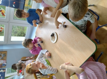 IMG_20251112_102405642_HDR