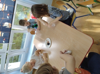 IMG_20251112_101933756_HDR