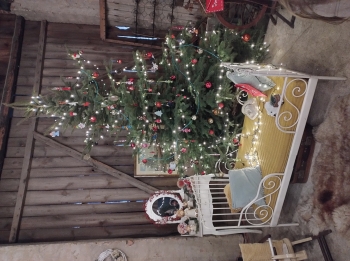 IMG_20251208_114734872_HDR