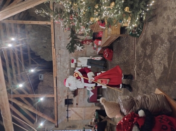 IMG_20251208_115502614_HDR