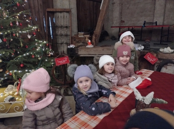 IMG_20251208_114555157_HDR