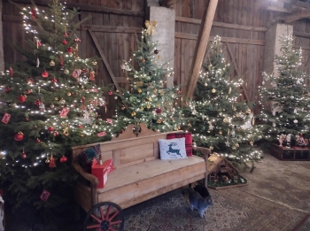 IMG_20251208_114639369_HDR