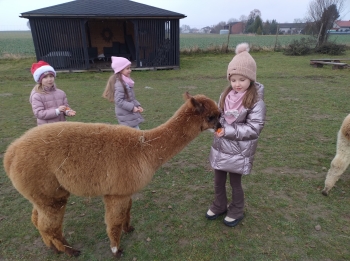 IMG_20251208_122152009