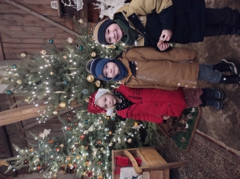 IMG_20251208_123346184_HDR