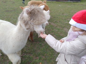 IMG_20251208_122112954