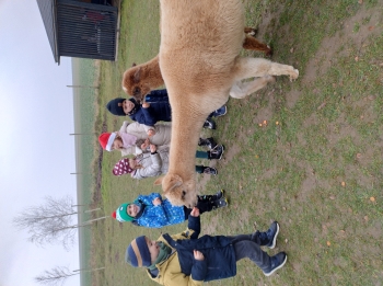 IMG_20251208_122611173_HDR