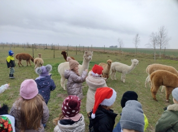 IMG_20251208_122106155_HDR