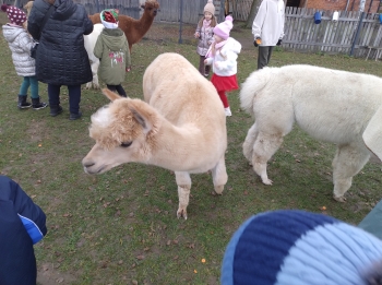 IMG_20251208_122302928