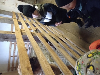 IMG_20251208_121601712