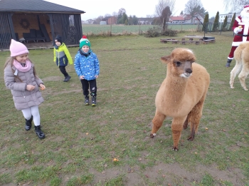 IMG_20251208_122140242