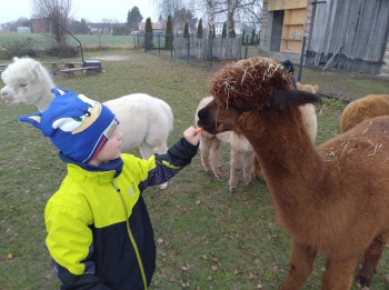 IMG_20251208_122323831