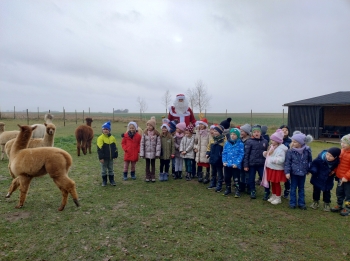 IMG_20251208_122039421_HDR