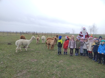 IMG_20251208_122043682