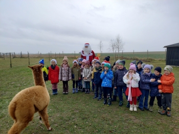 IMG_20251208_122025893_HDR