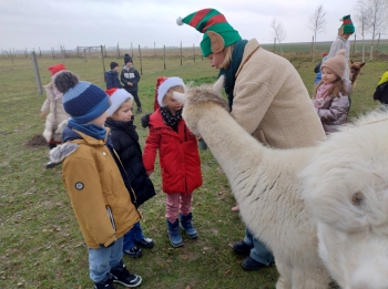 IMG_20251208_122230149_HDR