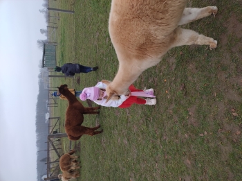 IMG_20251208_122537428