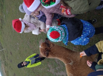 IMG_20251208_122532693_HDR