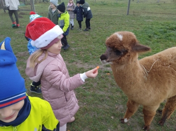 IMG_20251208_122242715