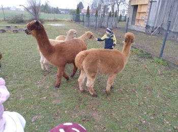 IMG_20251208_122224258_HDR