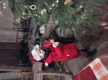 IMG_20251208_123505905_HDR