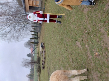 IMG_20251208_122604239_HDR