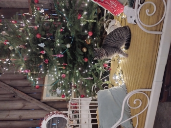 IMG_20251208_125625103_HDR