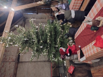 IMG_20251208_123629730_HDR