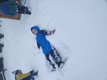 IMG_20260113_110521206