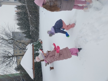 IMG_20260113_110439435