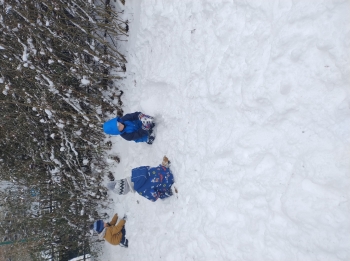 IMG_20260113_111615321