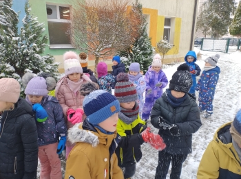 IMG_20260113_111955335