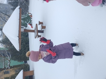 IMG_20260113_110442674