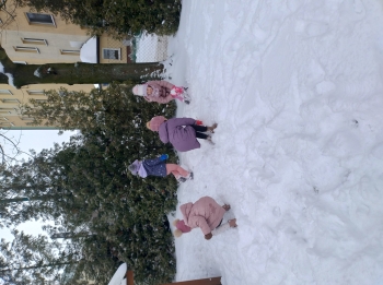 IMG_20260113_110955582_HDR