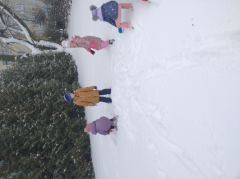 IMG_20260113_110528098