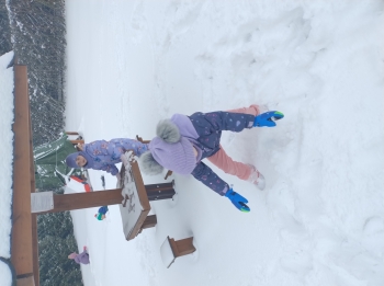 IMG_20260113_110507746