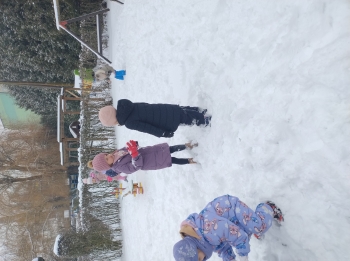 IMG_20260113_110800808