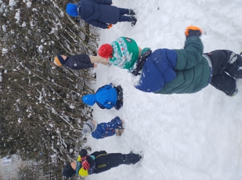 IMG_20260113_111439143