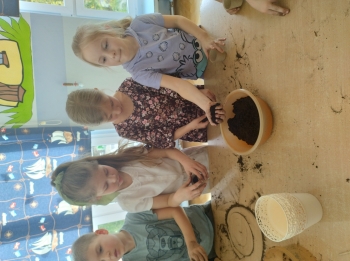 IMG_20260310_102732280_HDR