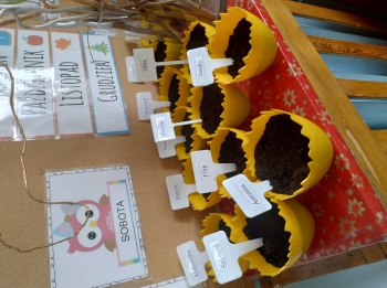 IMG_20260310_102531789_HDR