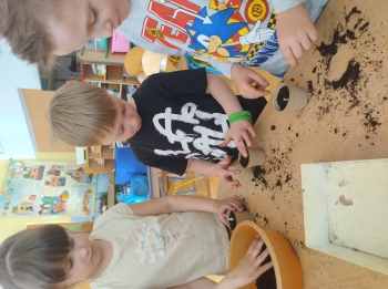 IMG_20260310_103020862