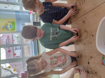 IMG_20260310_102942763_HDR